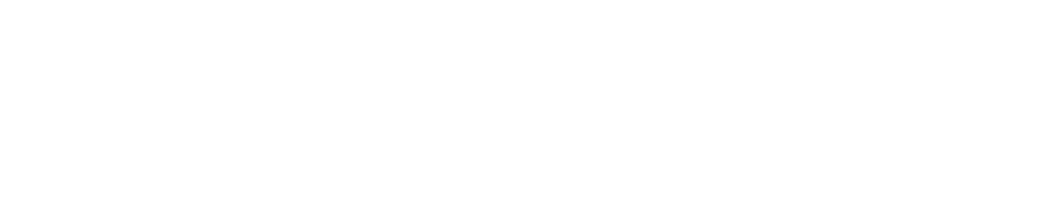 Pokebeast